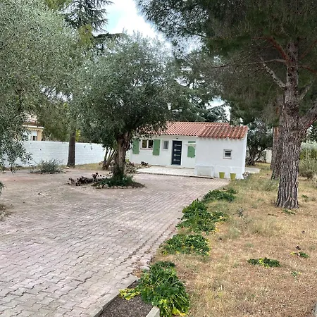 Maison Plain Pied Au Calme Sur Parcelle Arboree